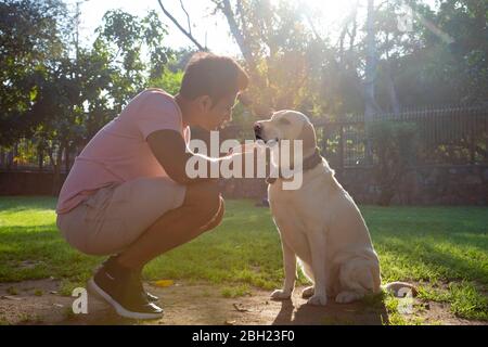 Uomo seduto con il suo cane in giardino e coccolarlo. Foto Stock