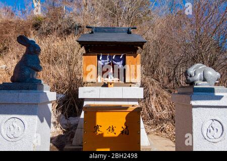 KAWAGUCHIKO, GIAPPONE – FEBBRAIO 9,2020 : Santuario di Usagi Jinja o Rabbit, piccolo santuario dedicato al coniglio dalla storia di Kachi Kachi Yama, a Tenjō Foto Stock