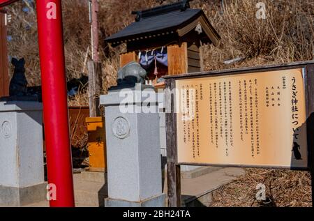 KAWAGUCHIKO, GIAPPONE – FEBBRAIO 9,2020 : Usagi Jinja o Rabbit Shrine messaggio giapponese, piccolo santuario dedicato al coniglio dalla storia di Kachi Kac Foto Stock