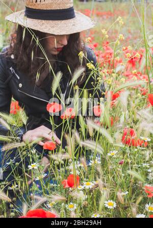 Giovane donna accovacciata in campo papavero Foto Stock