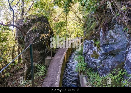 Portogallo, Madeira, Ribeiro Frio, Levada do Furado nel Parco Naturale di Madeira Foto Stock