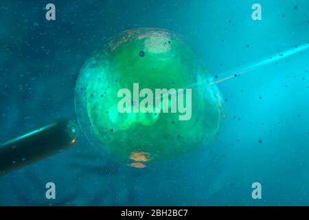 Rappresentazione tridimensionale di una singola cellula staminali durante la procedura di iniezione del DNA Foto Stock