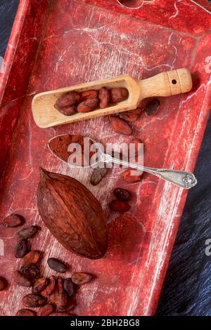 Germania, cucchiaio di cacao in polvere, cucchiaio di portata e fagioli di cacao Foto Stock