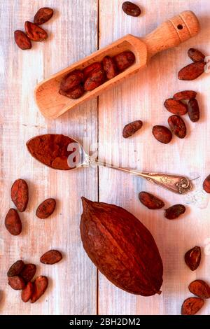 Germania, cucchiaio di cacao in polvere, cucchiaio di portata e fagioli di cacao Foto Stock