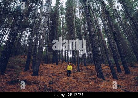 Uomo in piedi in foresta, Spagna Foto Stock