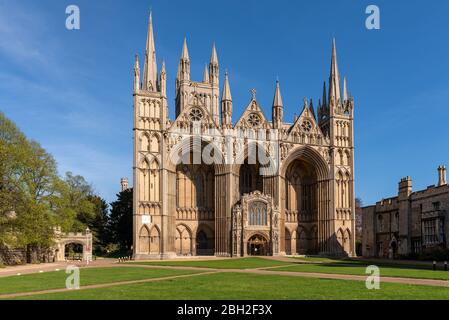 Peterborough Cattedrale durante il covid-19 coronavirus di blocco. Foto Stock