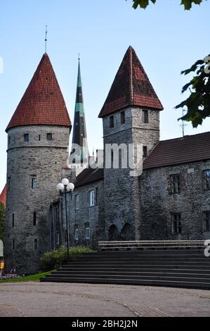 Torre di Eppingi, Tallinn, Estonia Foto Stock