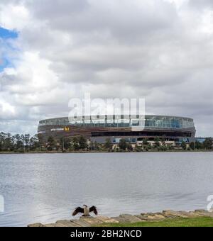 Seabird Australasian Darter essiccare le sue ali accanto al fiume Swan e Oktus Stadium Perth Western Australia. Foto Stock