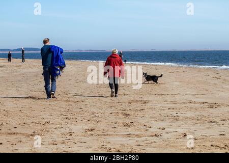 Dundee, Tayside, Scozia, Regno Unito. 23 aprile 2020. UK Weather: Caldo pomeriggio soleggiato a Dundee anche se la brezza costiera mantenere la costa un po 'più fresca con la temperatura massima 14°C. I proprietari di cani che esercitano i loro cani lungo Broughy Ferry spiaggia durante le restrizioni di blocco di Coronavirus in tutto il Regno Unito. Credit: Dundee Photographics/Alamy Live News Foto Stock