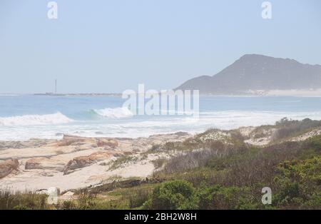 La spiaggia di Scarborough, sulla penisola del Capo, sulla costa atlantica, Sudafrica, Africa. Vegetazione endemica, chiamata Fynbos, in primo piano. Foto Stock