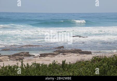 La spiaggia di Scarborough, sulla penisola del Capo, sulla costa atlantica, Sudafrica, Africa. Vegetazione endemica, chiamata Fynbos, in primo piano. Foto Stock