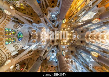 Soffitto nella Cattedrale della Sagrada Familia di Antoni Gaudi, Barcellona Foto Stock