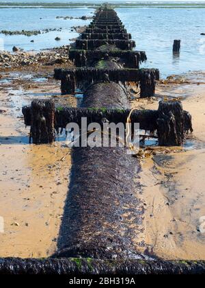 Dettaglio del tubo di scarico delle acque reflue o piovane dei primi anni 20C esposto a bassa marea danni protetti da rivestimento in calcestruzzo e barre trasversali Foto Stock