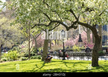 La primavera è bella in Madison Square Park, New York, Stati Uniti d'America Foto Stock