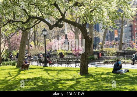 La primavera è bella in Madison Square Park, New York, Stati Uniti d'America Foto Stock