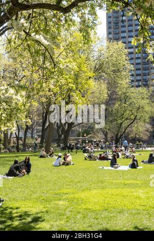 La primavera è bella in Madison Square Park, New York, Stati Uniti d'America Foto Stock