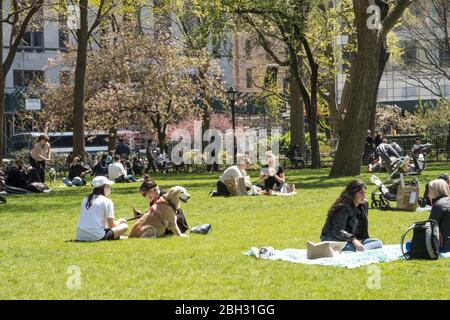 La primavera è bella in Madison Square Park, New York, Stati Uniti d'America Foto Stock