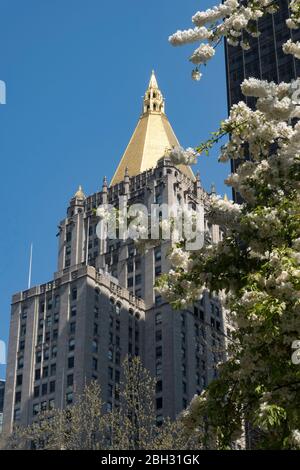 La primavera è bella in Madison Square Park, New York, Stati Uniti d'America Foto Stock