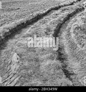 I cingoli dei pneumatici monocromatici del trattore in bianco e nero si incurvano in distanza. Metafora in rovina, lasciando un'impressione profonda, cambiando rotta. Foto Stock