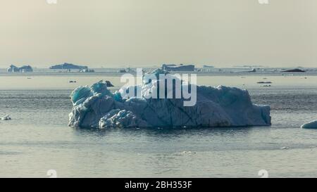 Iceberg galleggianti in Groenlandia (estate) Foto Stock