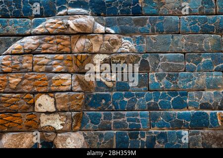 Vecchio rilievo di leone su muro di mattoni smaltati dall'antica Babilonia Foto Stock