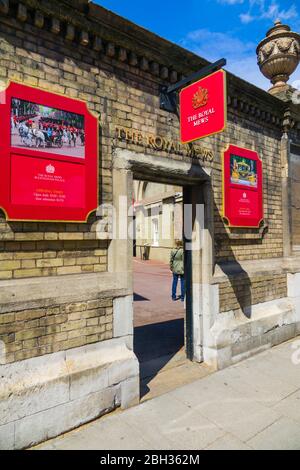 The Royal Mews Buckingham Palance Londra Inghilterra Regno Unito capitale Regno Unito Europa UE Foto Stock