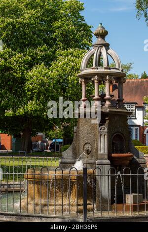 Maidenhead, Berkshire, Regno Unito. 23 aprile 2020. I fiori di albero di castagno di cavallo fioriscono nel sole di primavera in una gloriosa giornata calda accanto ad una fontana commemorativa in Bridge Gardens sul Tamigi a Maidenhead. Credit: Maureen McLean/Alamy Live News Foto Stock