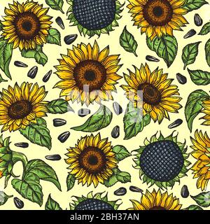 Motivo senza cuciture con girasoli gialli. Illustrazione vettoriale girasole sfondo fiore luminoso Illustrazione Vettoriale