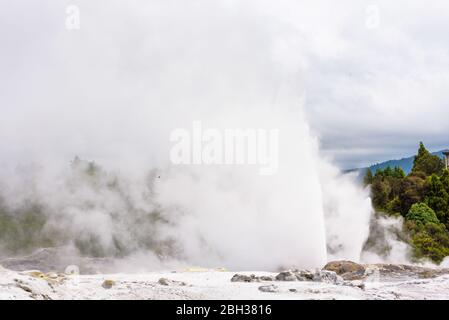 Eruzione del geyser Pohutu a te Puia, Rotorua, Nuova Zelanda Foto Stock