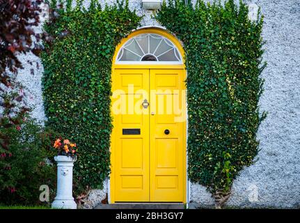 Porta Georgiana di stile giallo, verde Ivy che cresce sulle pareti Foto Stock