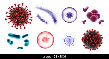 Set di batteri e virus 3d microscopici. Batterio vettore microbiologico e germe di Bifidobacterium isolati. Illustrazione della molecola del virus medico Illustrazione Vettoriale