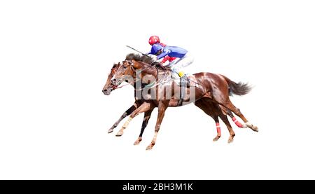 Due Jokey su un cavallo purosangue in blu chiude corre isolati su sfondo bianco Foto Stock