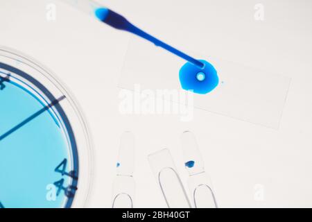 Primo piano della provetta con campioni blu è un esame medico in laboratorio Foto Stock