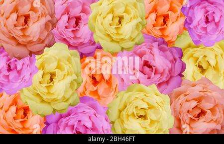 Illustrazione di uno sfondo di un mazzo colorato di rose tra cui giallo, rosa e pesca. Ideale per uno sfondo o uno striscione bello per la primavera. Foto Stock
