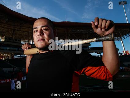 Ritratto di Carlos Rodriguez catturatore di Naranjeros allo stadio di sonora il 10 novembre 2013. Ritratto un catcher di Carlos Rodriguez en el Foto Stock