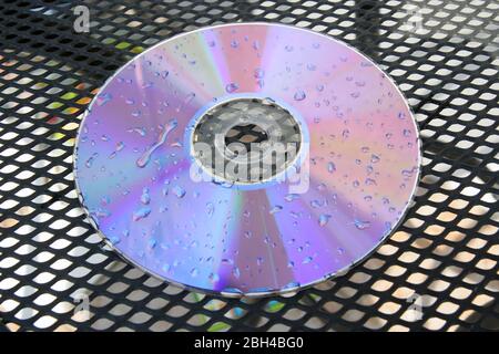 Disco CD bagnato. Disco DVD bagnato. Gocce di pioggia sul disco. Foto Stock