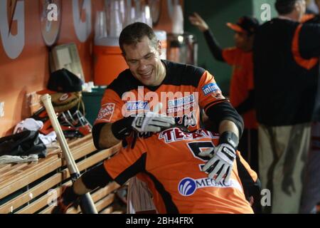 Jonathan Aceves, Baseball, Beisbol. LMP, liga mexicana del Pacifico. 18 nov 2013 Foto Stock