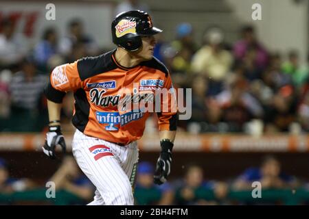 Baseball, Beisbol. LMP, liga mexicana del Pacifico. 18 nov 2013 Foto Stock