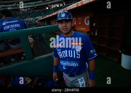 Baseball, Beisbol. LMP, liga mexicana del Pacifico. 18 nov 2013 Foto Stock