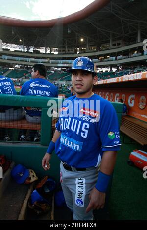 Baseball, Beisbol. LMP, liga mexicana del Pacifico. 18 nov 2013 Foto Stock