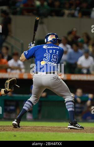 Lutz, Baseball, Beisbol. LMP, liga mexicana del Pacifico. 18 nov 2013 Foto Stock