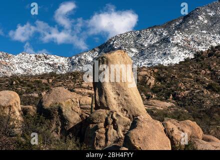 Le montagne innevate di Santa Catalina fanno da sfondo ai giardini rocciosi ai piedi della Foresta Nazionale del Coronado, nel deserto di Sonoran, CA Foto Stock