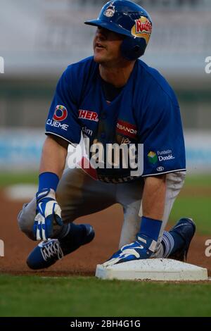 Baseball, Beisbol. LMP, liga mexicana del Pacifico. 18 nov 2013 Foto Stock