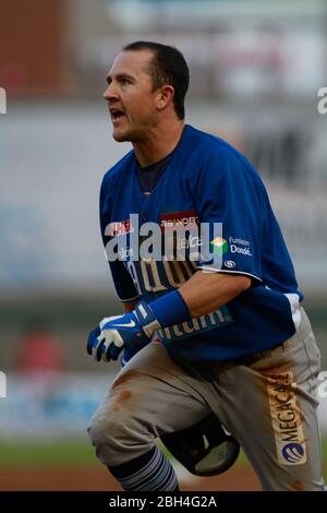 Baseball, Beisbol. LMP, liga mexicana del Pacifico. 18 nov 2013 Foto Stock