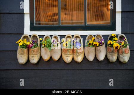 Scarpe olandesi in legno con fiori all'interno sulla parete Foto Stock