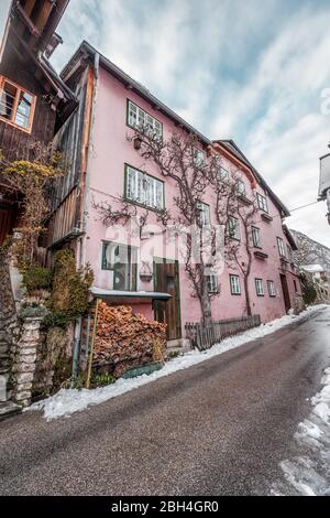 Gli alberi crescono lungo la facciata di case rosa a Hallstatt, villaggio austriaco innevato in inverno Foto Stock