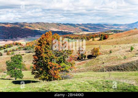 Autunno alberi di acero rosso e montagne in fattoria su colline ondulate vista paesaggio a Monterey e Blue Grass, Highland County, Virginia Foto Stock