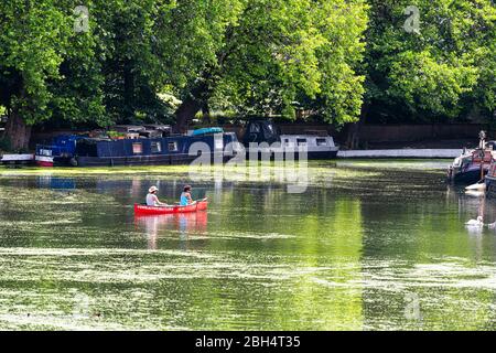 Londra, UK - 24 giugno 2018: Quartiere di Little Venice Italia canottaggio durante la giornata estiva soleggiato e persone in canoa barca a remi con riflessione Foto Stock