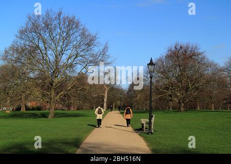 Una caratteristica popolare di Londra è Hyde Park, che offre una fuga tranquilla dal trambusto di una delle città più grandi d'Europa Foto Stock