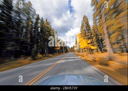 Guida sull'autostrada 1A da Banff al Lago Louise. Alberta Canada Foto Stock